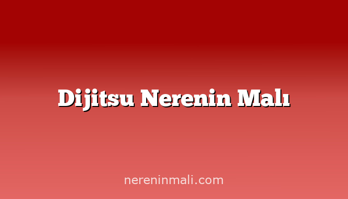 Dijitsu Nerenin Malı