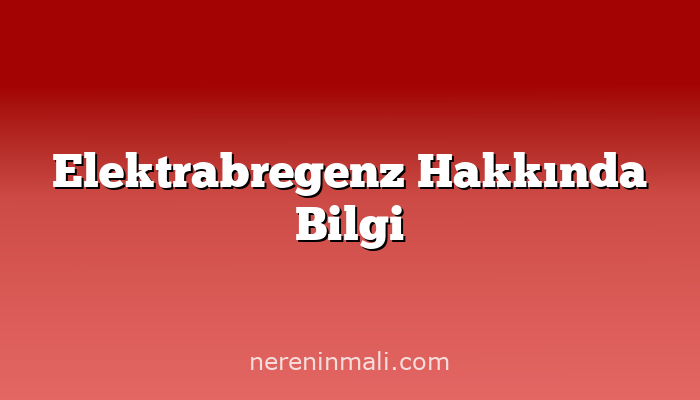 Elektrabregenz Hakkında Bilgi