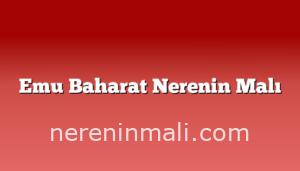 Emu Baharat Nerenin Malı