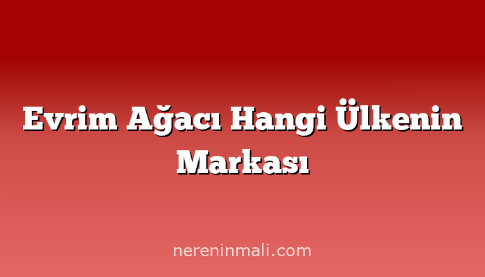 Evrim Ağacı Hangi Ülkenin Markası