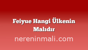 Feiyue Hangi Ülkenin Malıdır