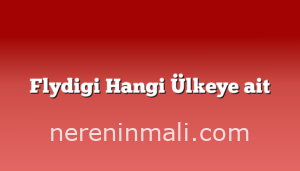 Flydigi Hangi Ülkeye ait