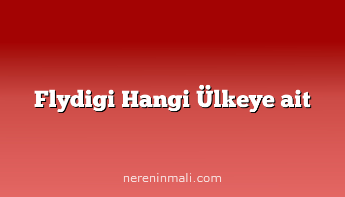 Flydigi Hangi Ülkeye ait