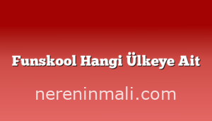 Funskool Hangi Ülkeye Ait