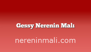 Gessy Nerenin Malı