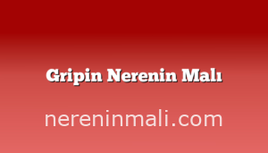 Gripin Nerenin Malı