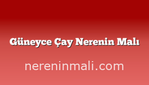 Güneyce Çay Nerenin Malı