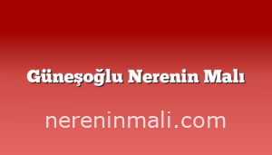 Güneşoğlu Nerenin Malı