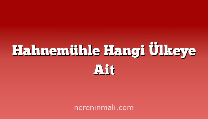 Hahnemühle Hangi Ülkeye Ait