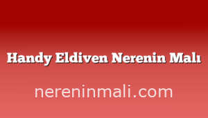 Handy Eldiven Nerenin Malı