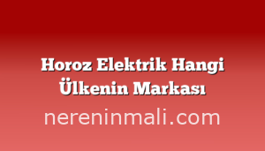 Horoz Elektrik Hangi Ülkenin Markası