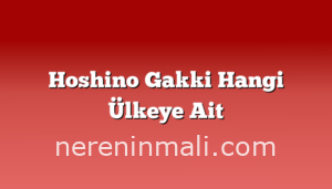 Hoshino Gakki Hangi Ülkeye Ait