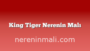 King Tiger Nerenin Malı