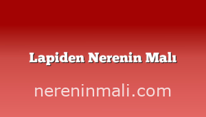 Lapiden Nerenin Malı