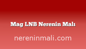 Mag LNB Nerenin Malı