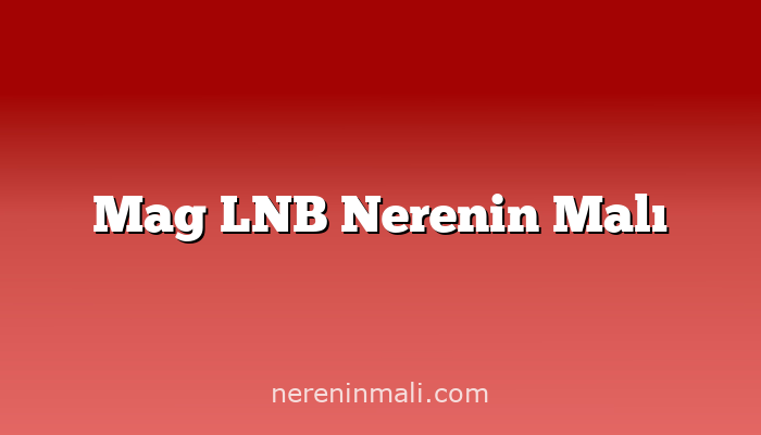 Mag LNB Nerenin Malı