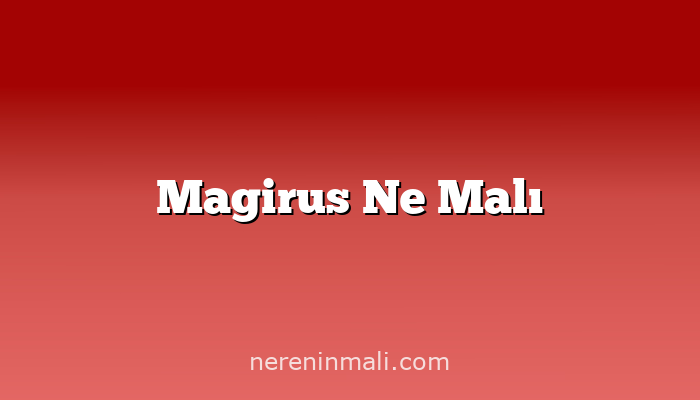 Magirus Ne Malı