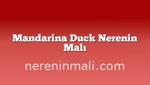 Mandarina Duck Nerenin Malı