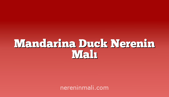 Mandarina Duck Nerenin Malı