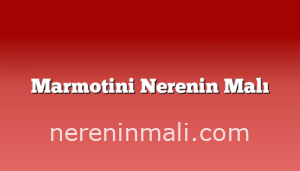 Marmotini Nerenin Malı