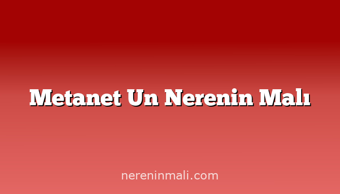 Metanet Un Nerenin Malı