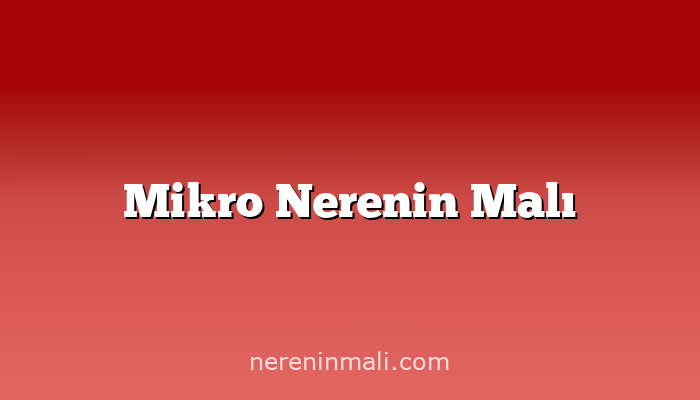 Mikro Nerenin Malı