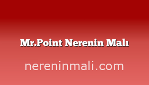 Mr.Point Nerenin Malı