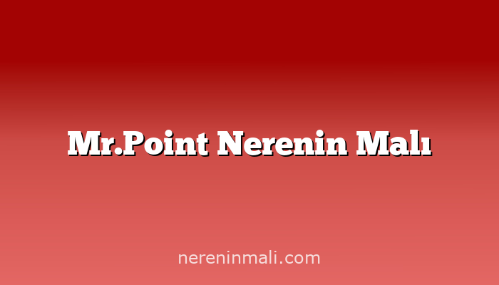 Mr.Point Nerenin Malı