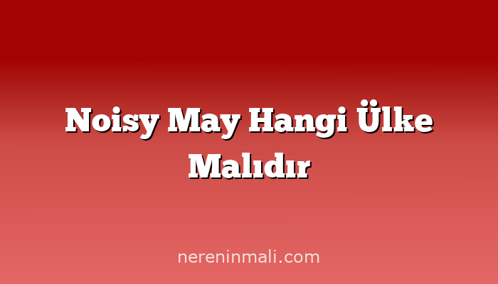 Noisy May Hangi Ülke Malıdır