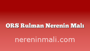 ORS Rulman Nerenin Malı