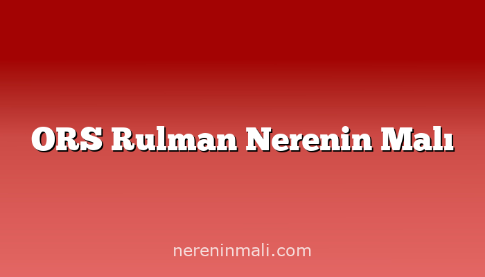 ORS Rulman Nerenin Malı