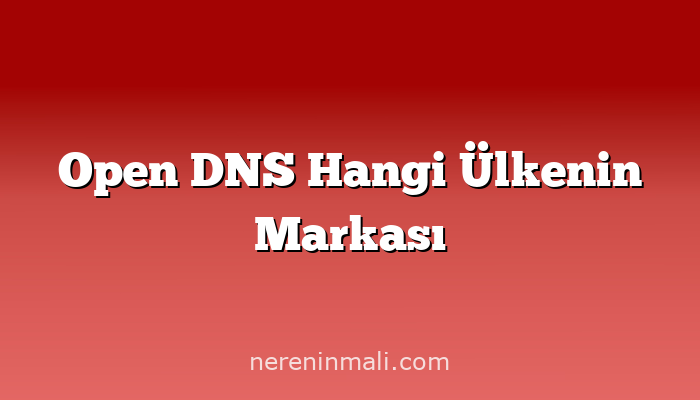 Open DNS Hangi Ülkenin Markası