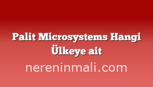 Palit Microsystems Hangi Ülkeye ait