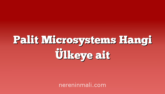 Palit Microsystems Hangi Ülkeye ait