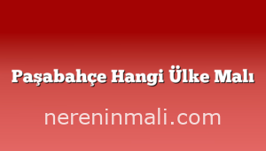 Paşabahçe Hangi Ülke Malı