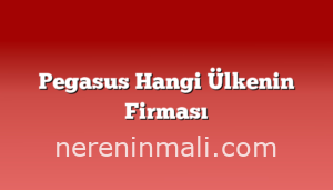 Pegasus Hangi Ülkenin Firması