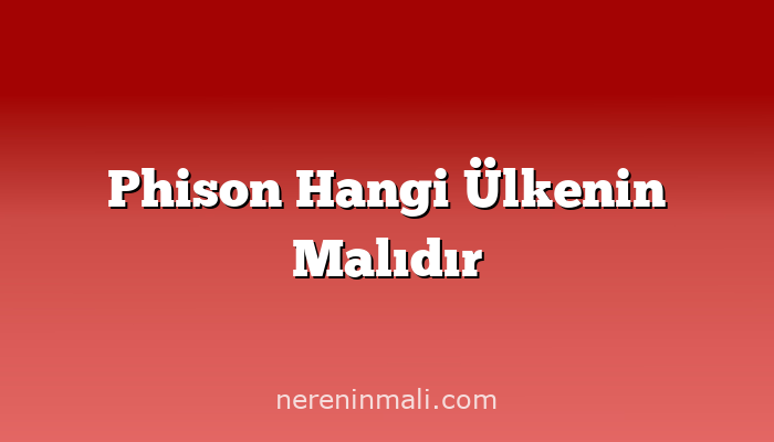 Phison Hangi Ülkenin Malıdır