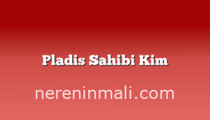 Pladis Sahibi Kim