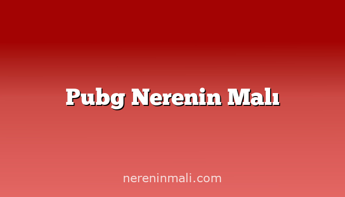 Pubg Nerenin Malı