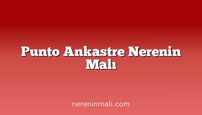 Punto Ankastre Nerenin Malı