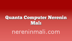 Quanta Computer Nerenin Malı