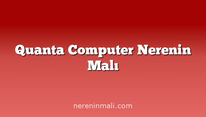 Quanta Computer Nerenin Malı