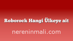 Roborock Hangi Ülkeye ait