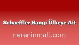 Schaeffler Hangi Ülkeye Ait