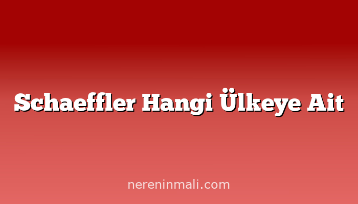 Schaeffler Hangi Ülkeye Ait