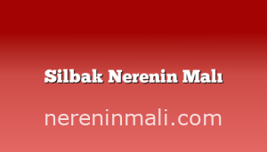 Silbak Nerenin Malı