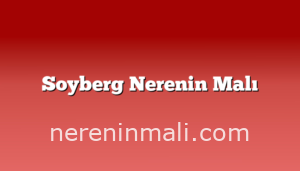 Soyberg Nerenin Malı