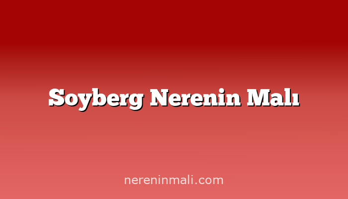 Soyberg Nerenin Malı