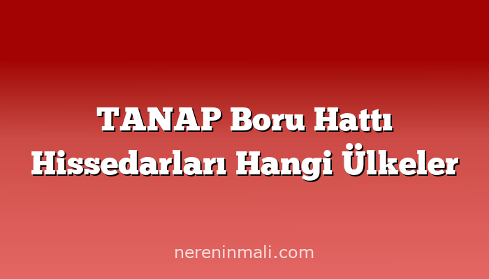 TANAP Boru Hattı Hissedarları Hangi Ülkeler