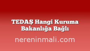 TEDAŞ Hangi Kuruma Bakanlığa Bağlı